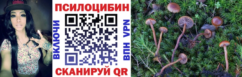 Галлюциногенные грибы Magic Shrooms  цены   Новоалтайск 