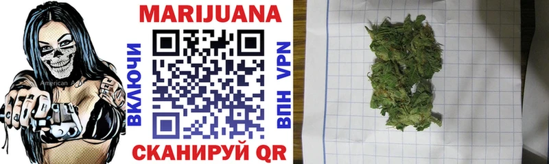 Бошки Шишки семена что такое darknet состав Новоалтайск